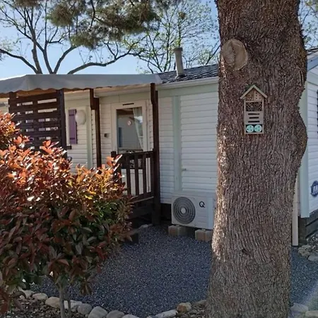 Mobil 32m² Avec Terrasse Pour 4 Personnes A - Api-1-52-404 Camping Anduze